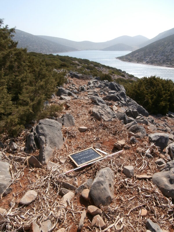 E131 - Image 2