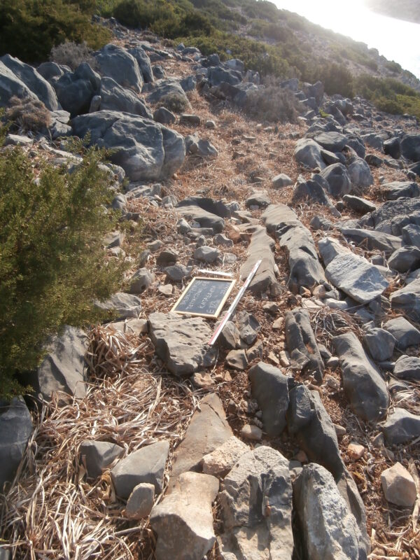 E123 - Image 3