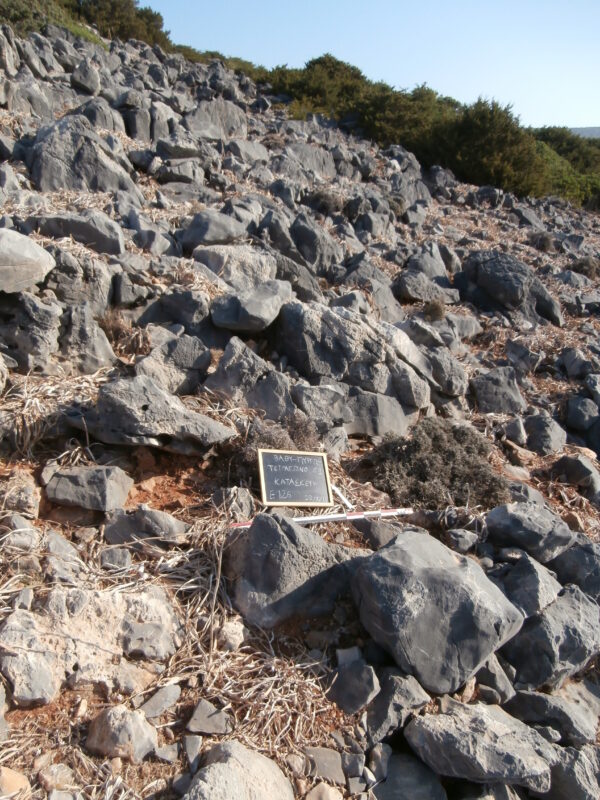 E126 - Image 3