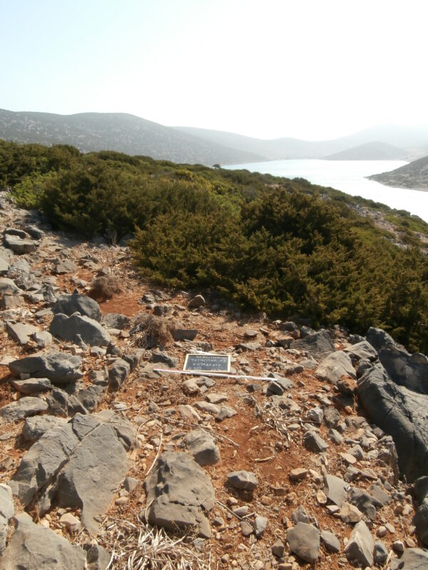 E129 - Image 3