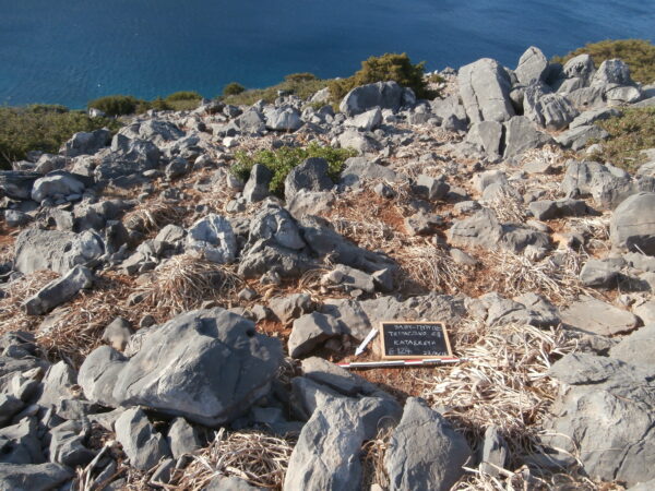 E124 - Image 4