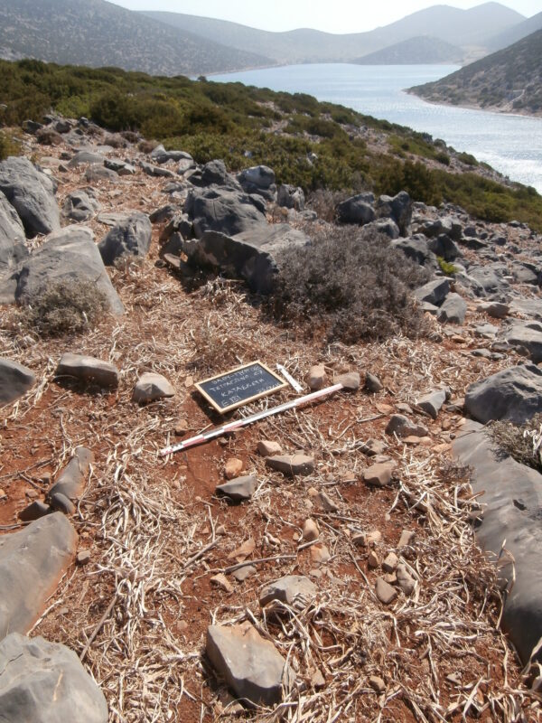 E131 - Image 3