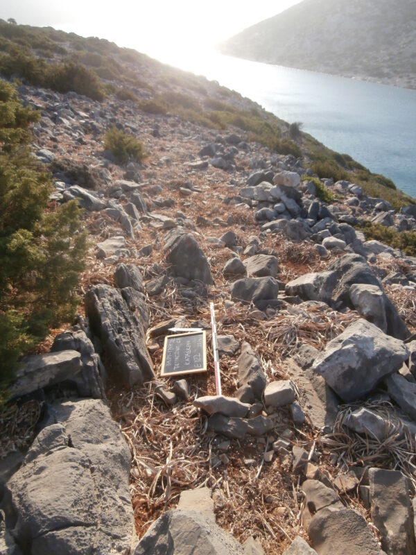 E122 - Image 4