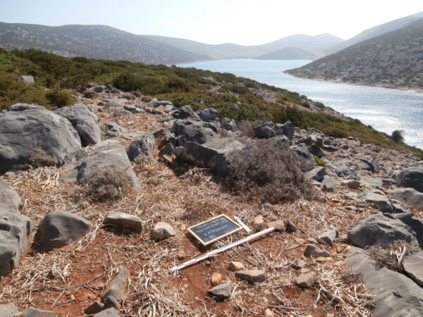 E131 - Image 5