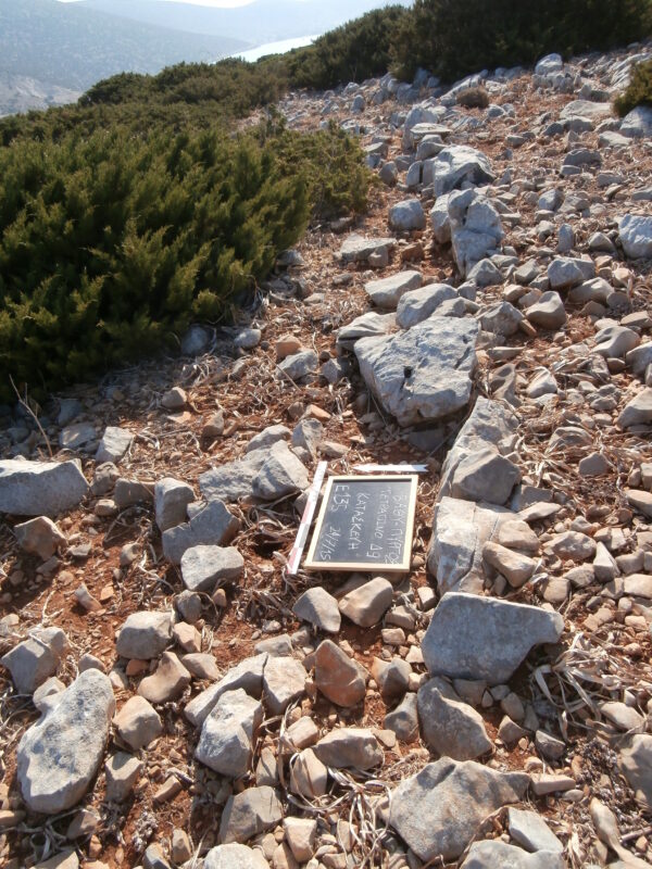 E135 - Image 2