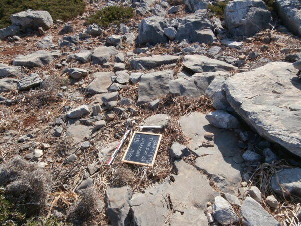 E136 - Image 2