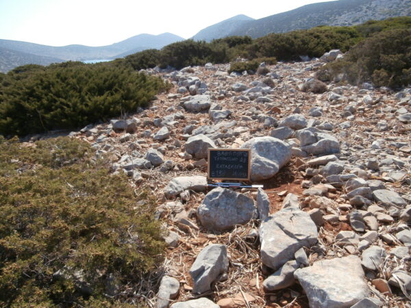 E138 - Image 2