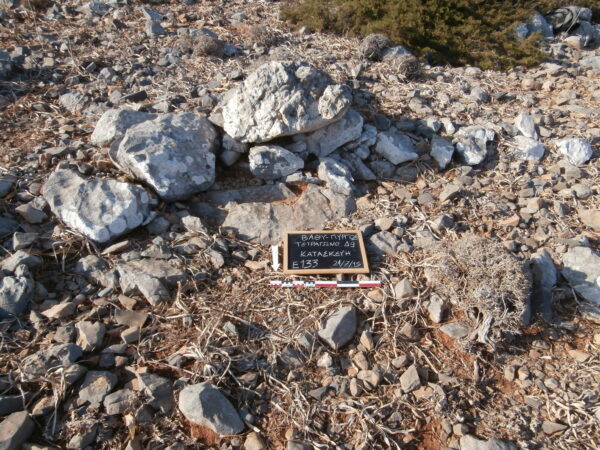 E133 - Image 2