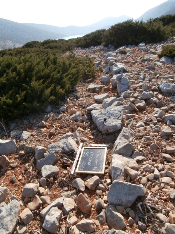 E135 - Image 3