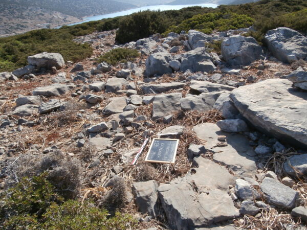 E136 - Image 3