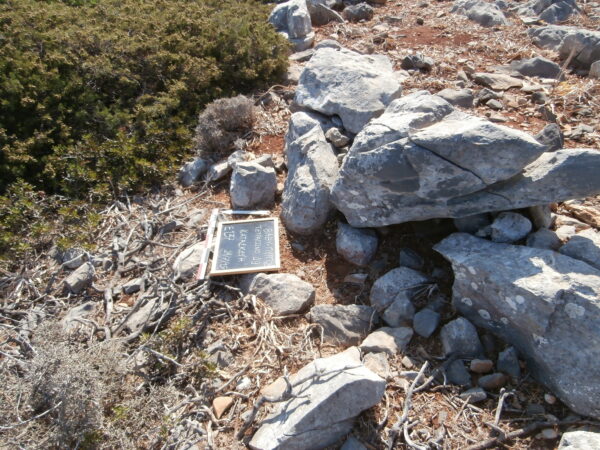 E137 - Image 2