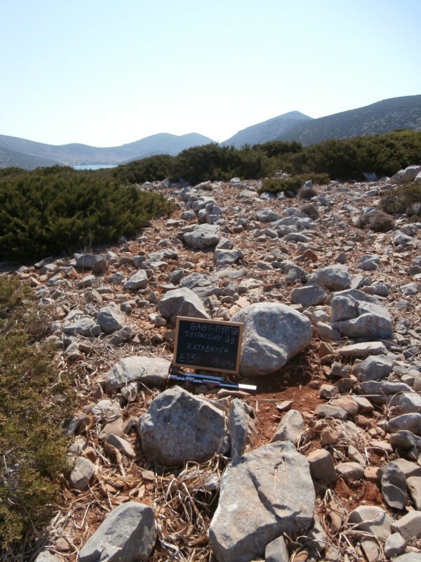 E138 - Image 3
