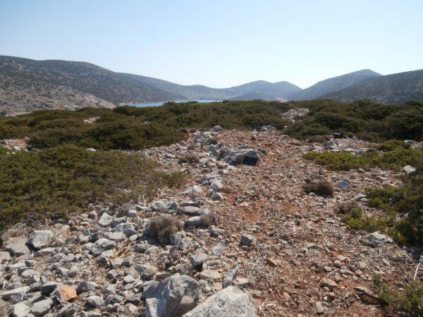 E139 - Image 3