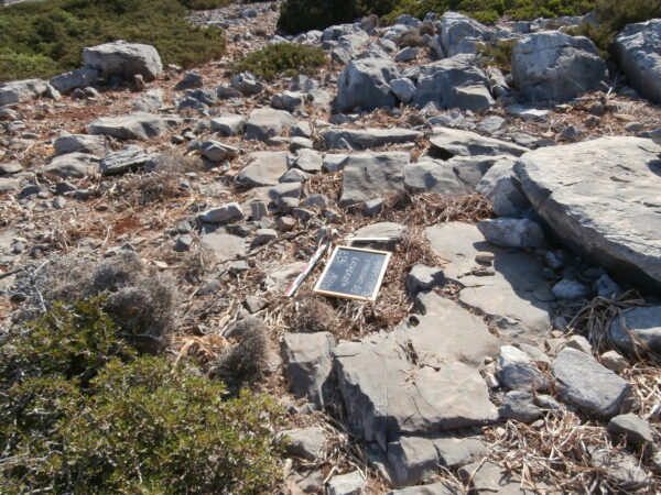 E136 - Image 4