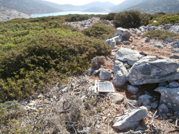 E137 - Image 3