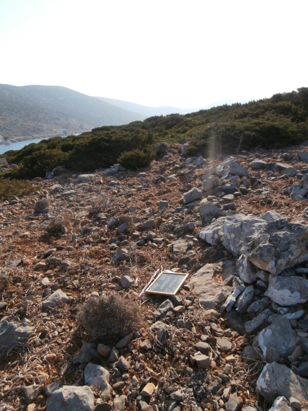 E133 - Image 3