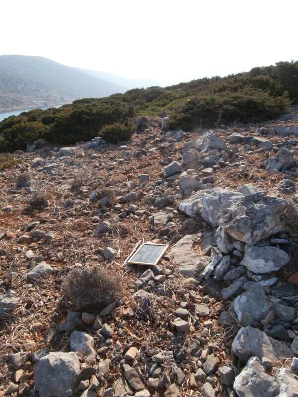 E133 - Image 4
