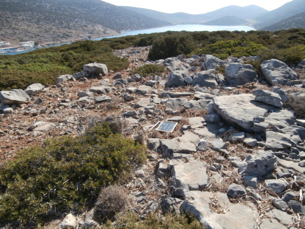 E136 - Image 5