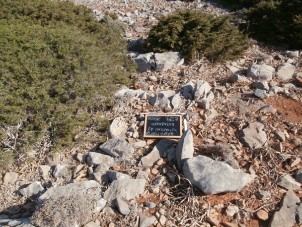 E134 - Image 4