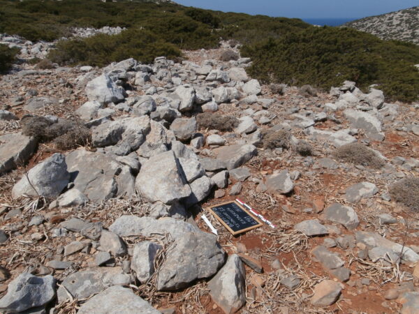 E141 - Image 2