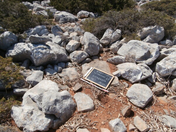 E140 - Image 3