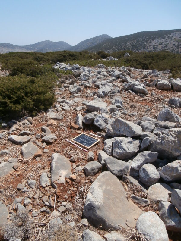 E141 - Image 3