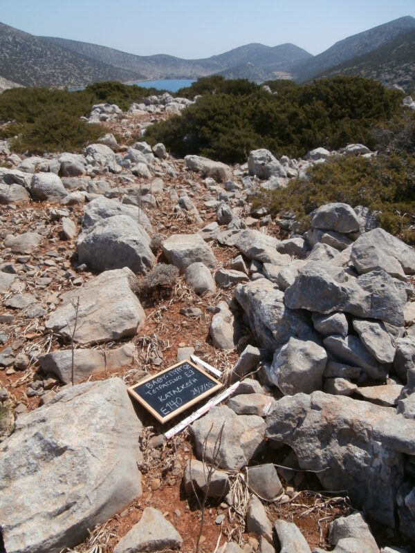 E140 - Image 6