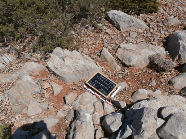 E140 - Image 7