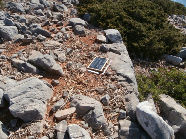E145 - Image 2