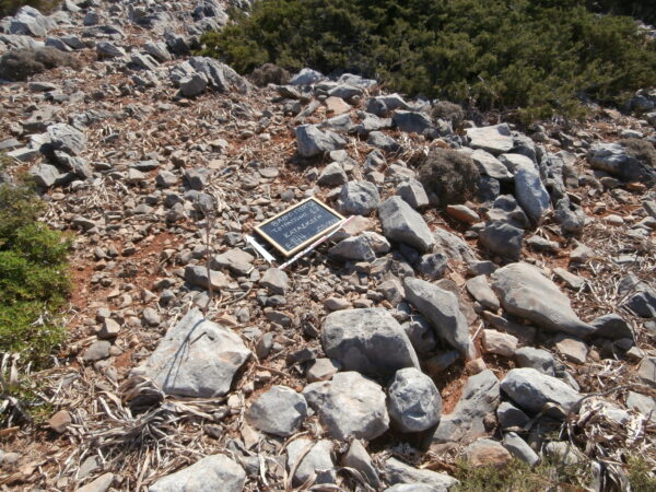 E144 - Image 2