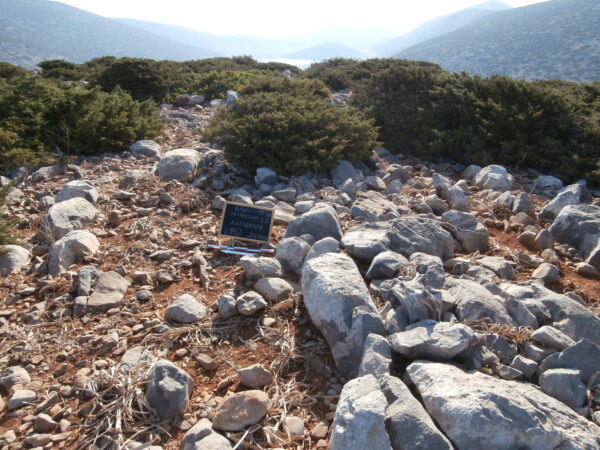 E142 - Image 2