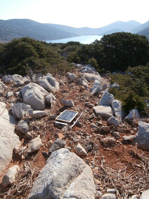 E143 - Image 2