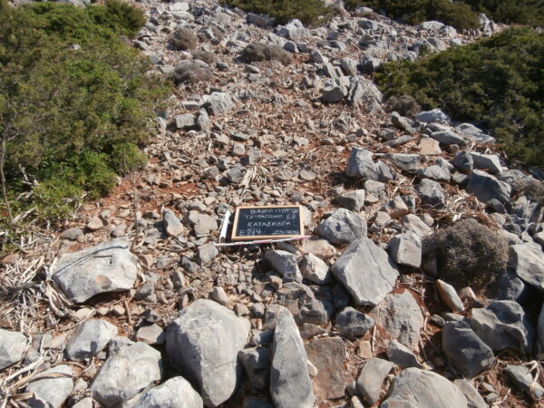 E144 - Image 3