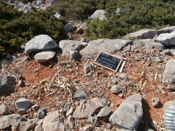 E145 - Image 3