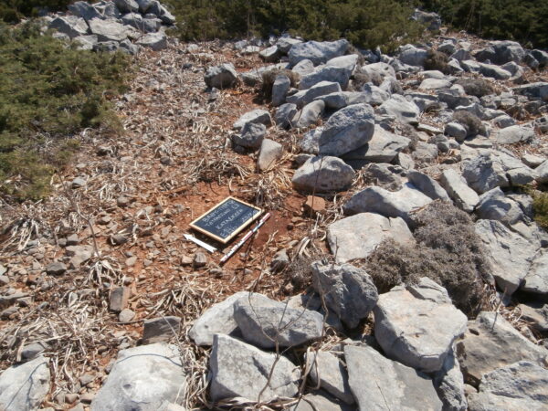 E146 - Image 2