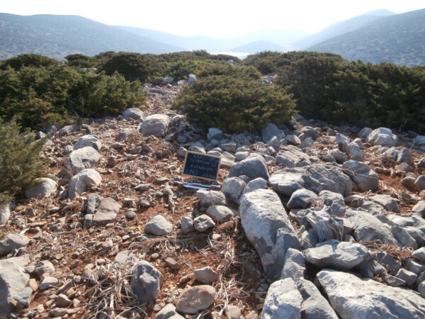 E142 - Image 3