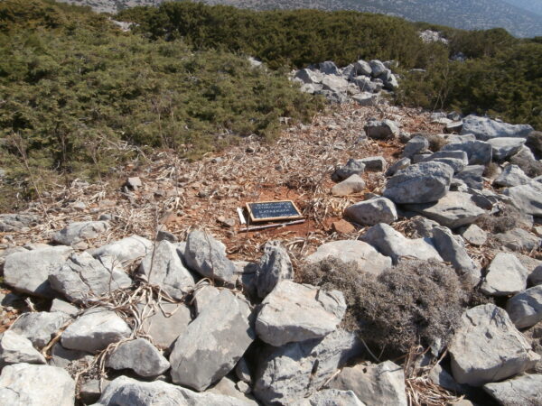 E146 - Image 3