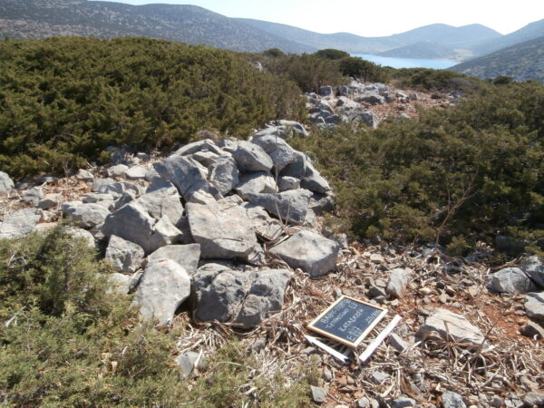 E147 - Image 3