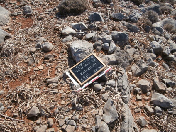 E144 - Image 4