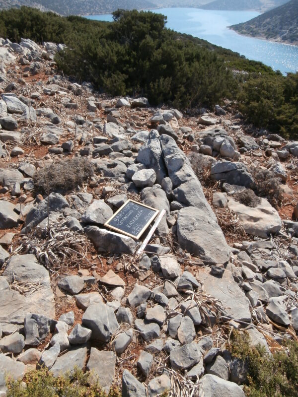 E145 - Image 4