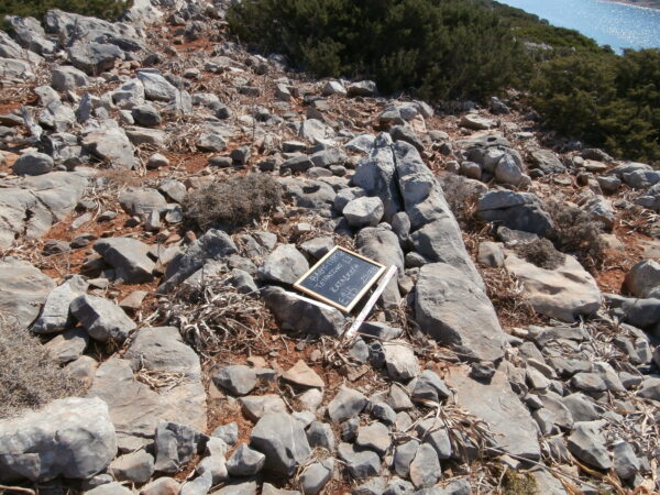 E145 - Image 5