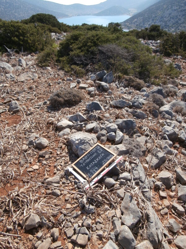 E144 - Image 5
