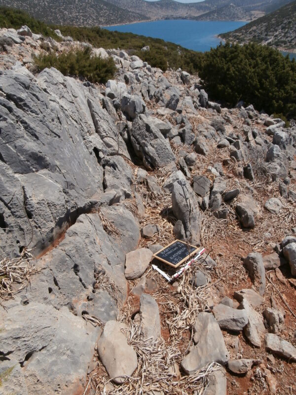 E151 - Image 2