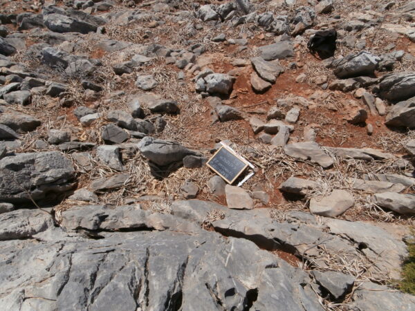 E151 - Image 3