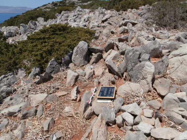 E152 - Image 2