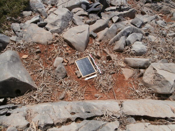 E150 - Image 3
