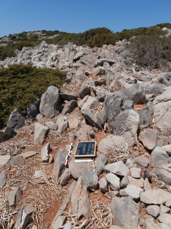 E152 - Image 3