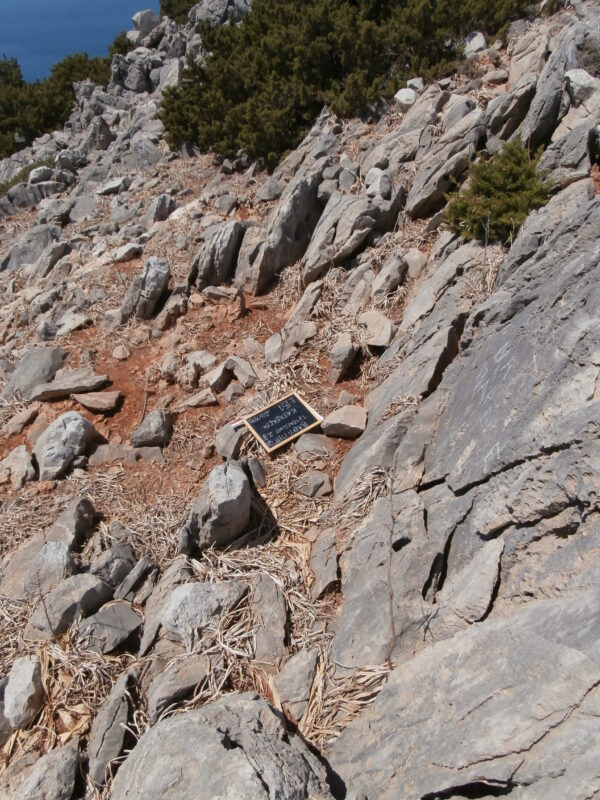 E151 - Image 4