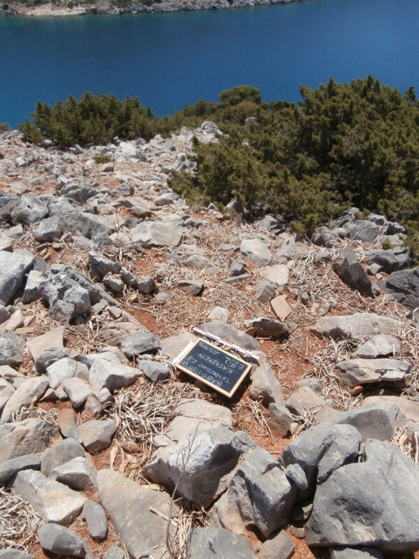 E152 - Image 4