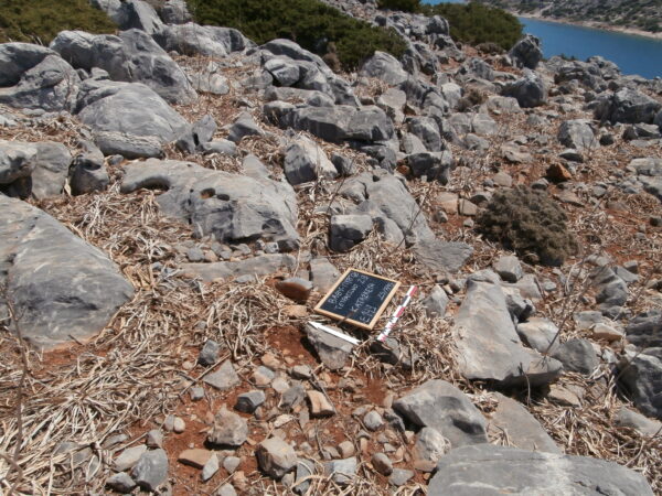 E149 - Image 2